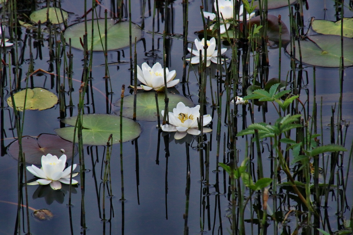 2016_07_09_023806p_Bildgr��e �ndern