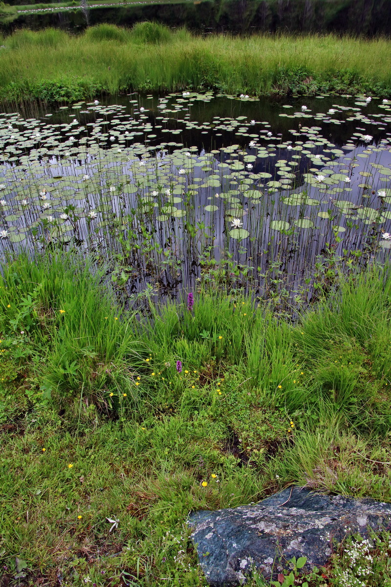 2016_07_09_023810p_Bildgr��e �ndern