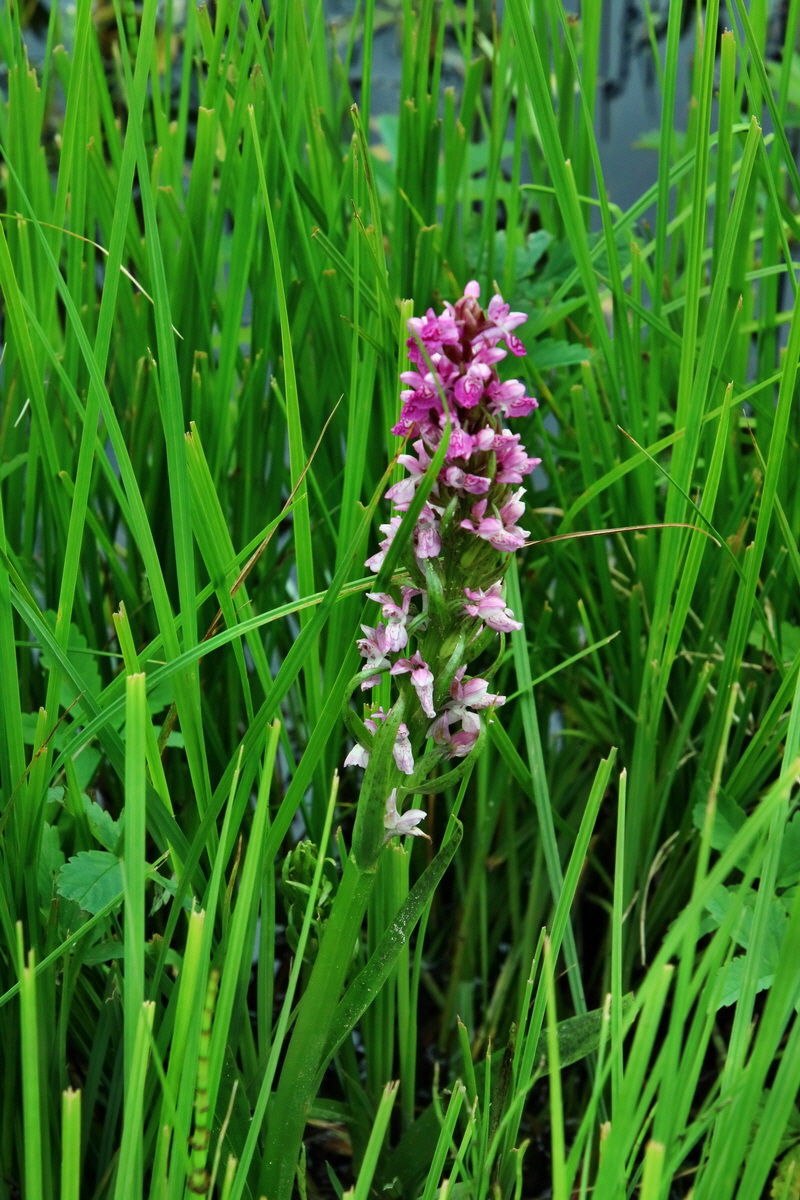 2016_07_09_023812p_Bildgr��e �ndern