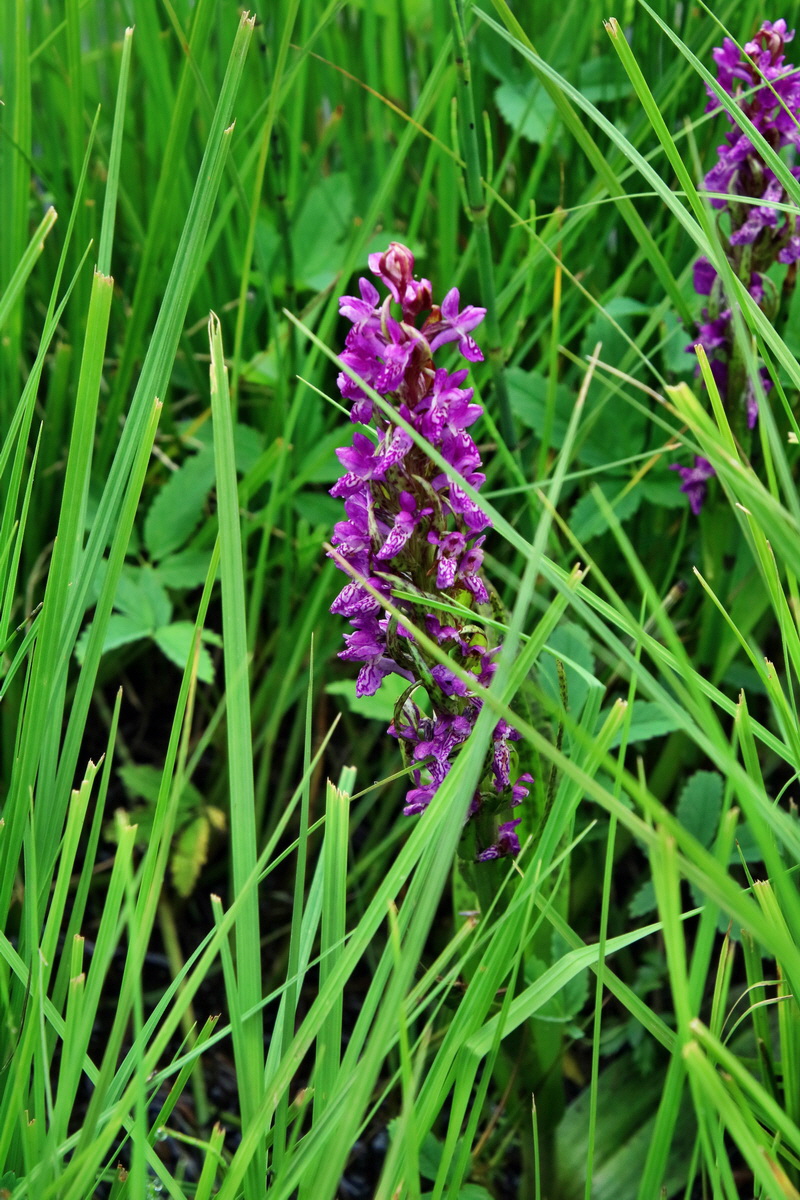 2016_07_09_023818p_Bildgr��e �ndern