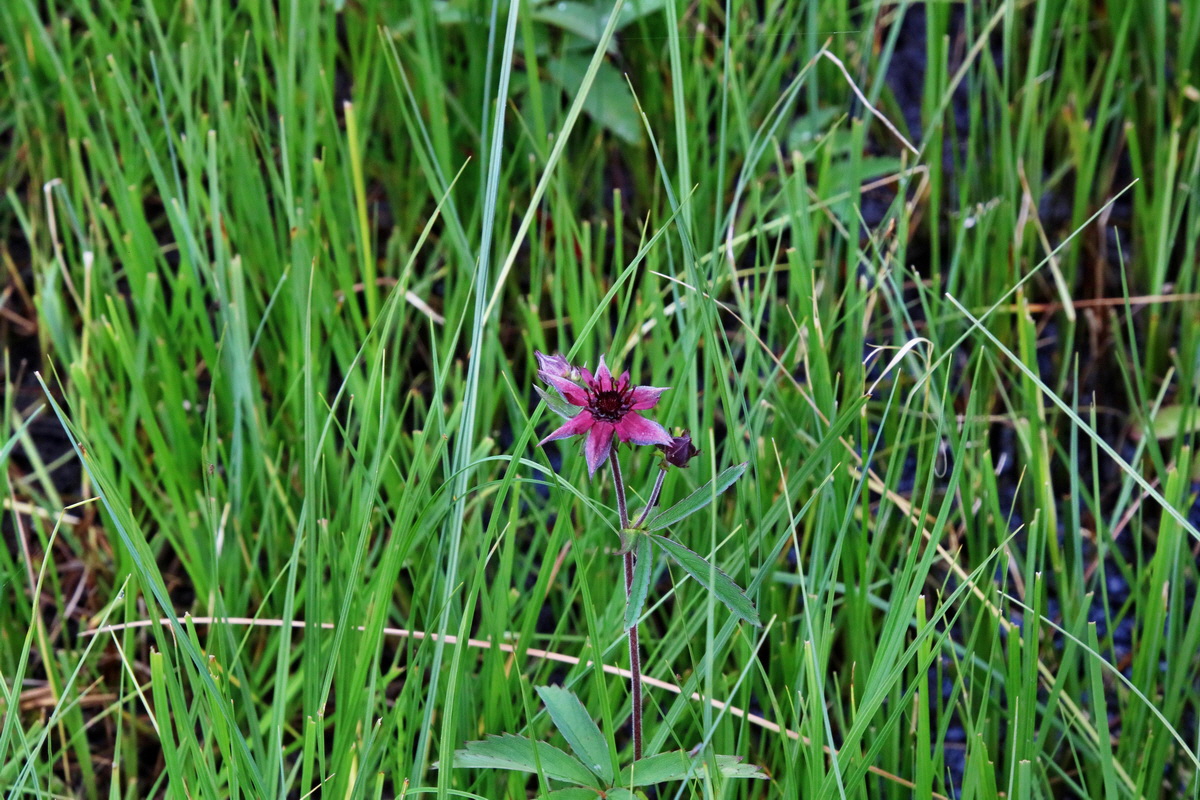 2016_07_09_023821p_Bildgr��e �ndern