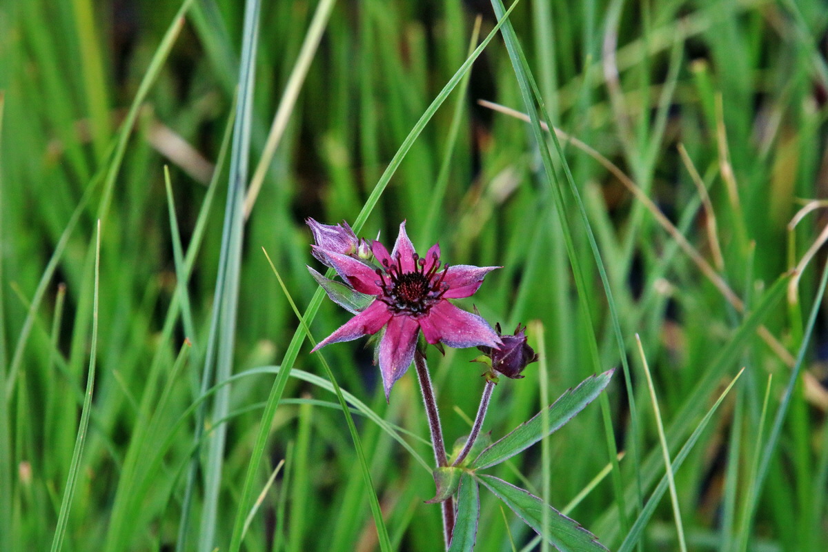 2016_07_09_023822p_Bildgr��e �ndern