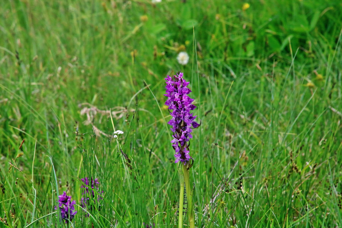 2016_07_09_023829p_Bildgr��e �ndern