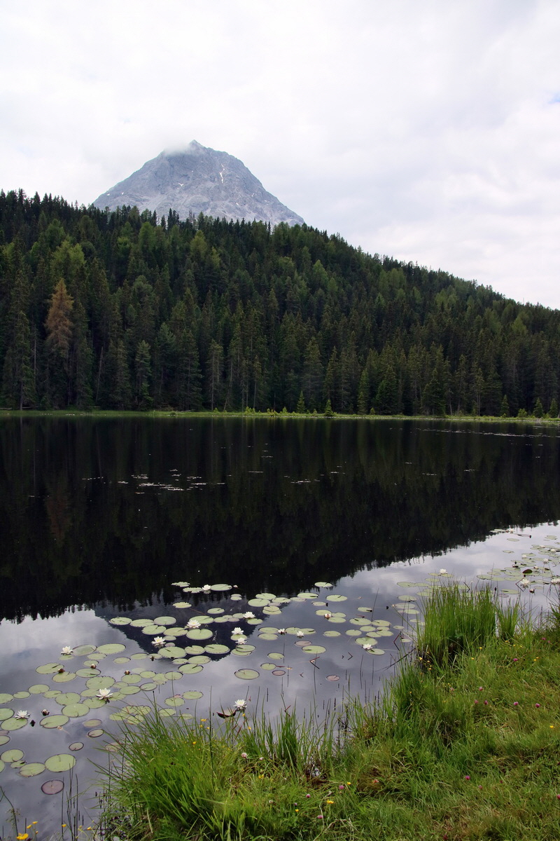 2016_07_09_023868p_Bildgr��e �ndern