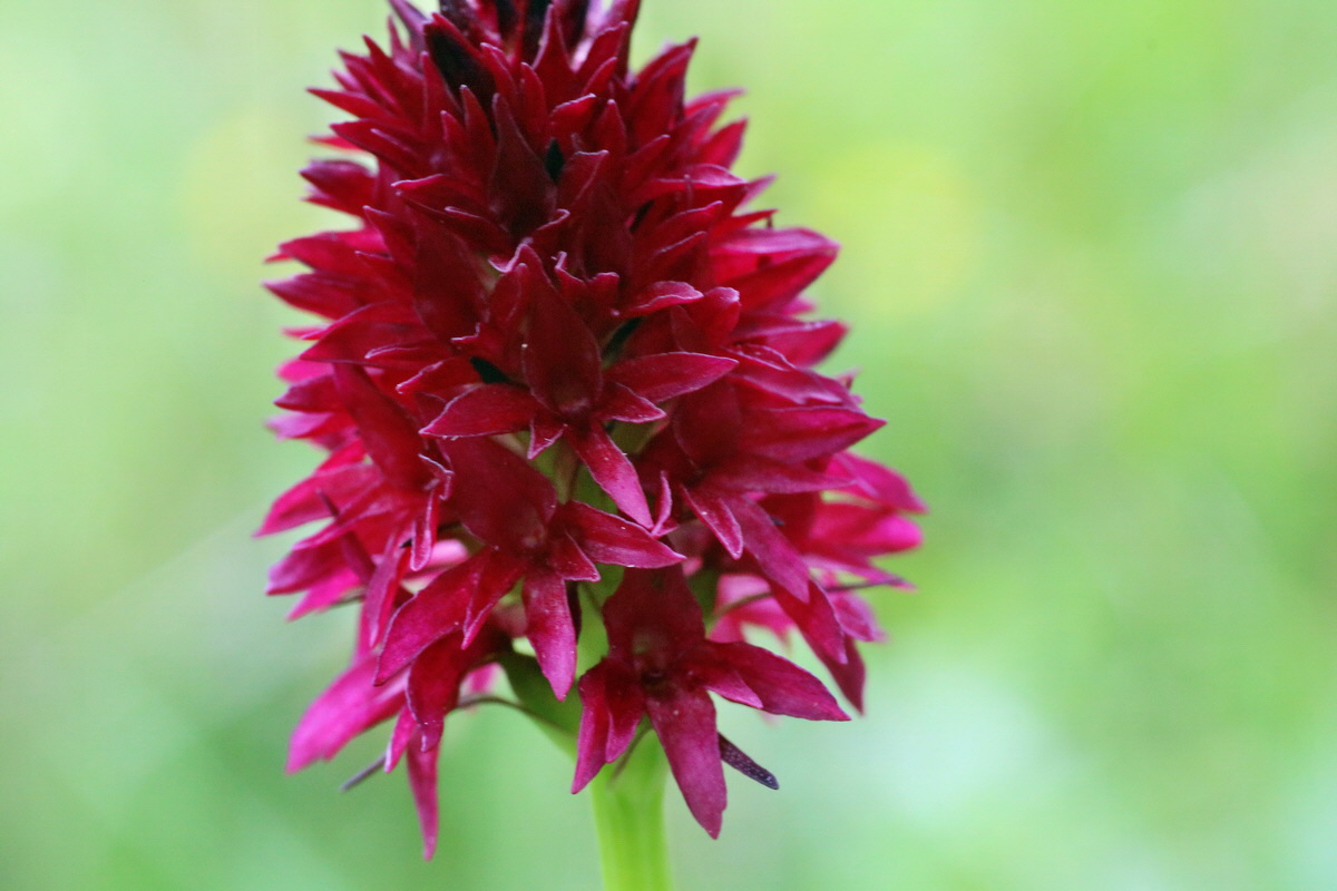 2016_07_09_023879p_Bildgr��e �ndern