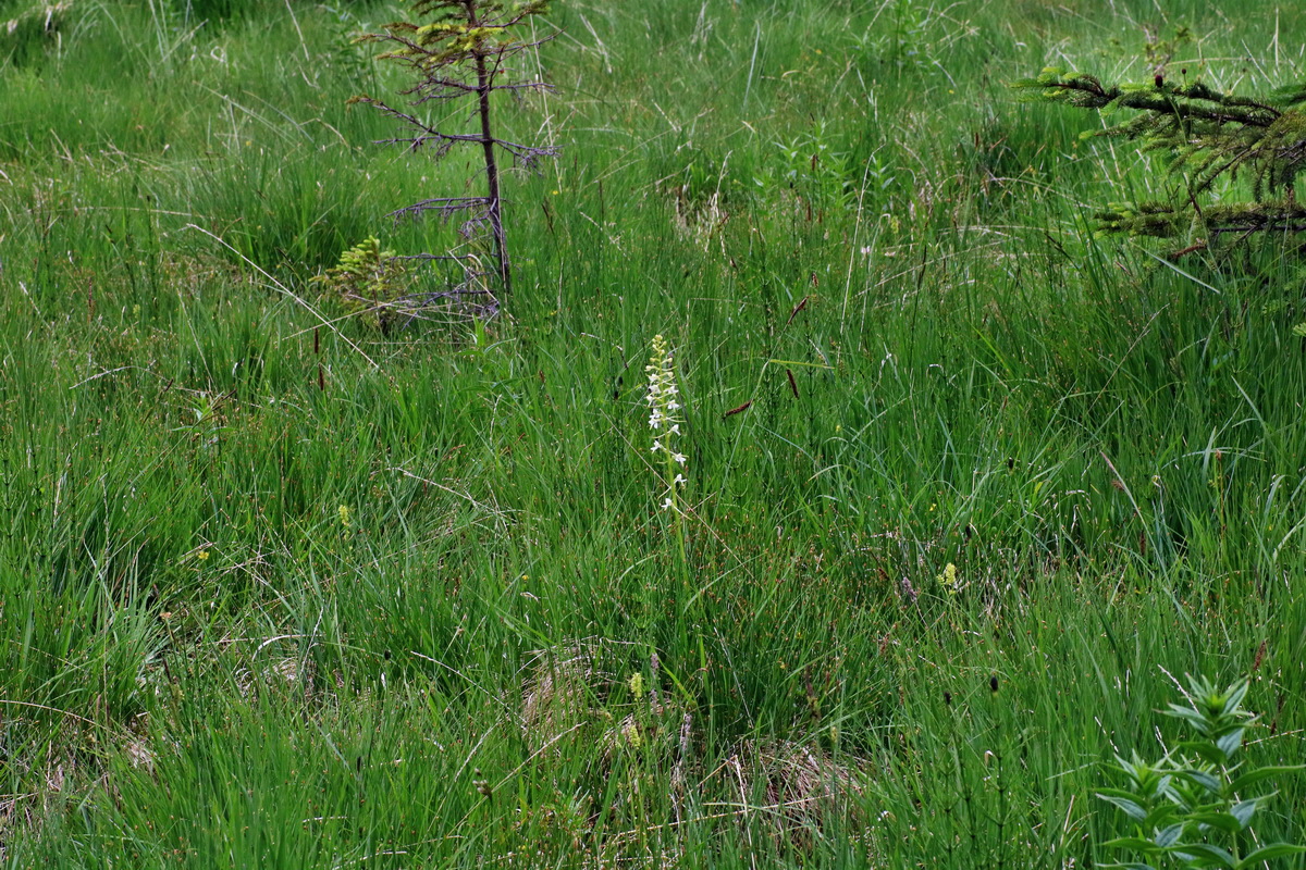 2016_07_09_023886p_Bildgr��e �ndern