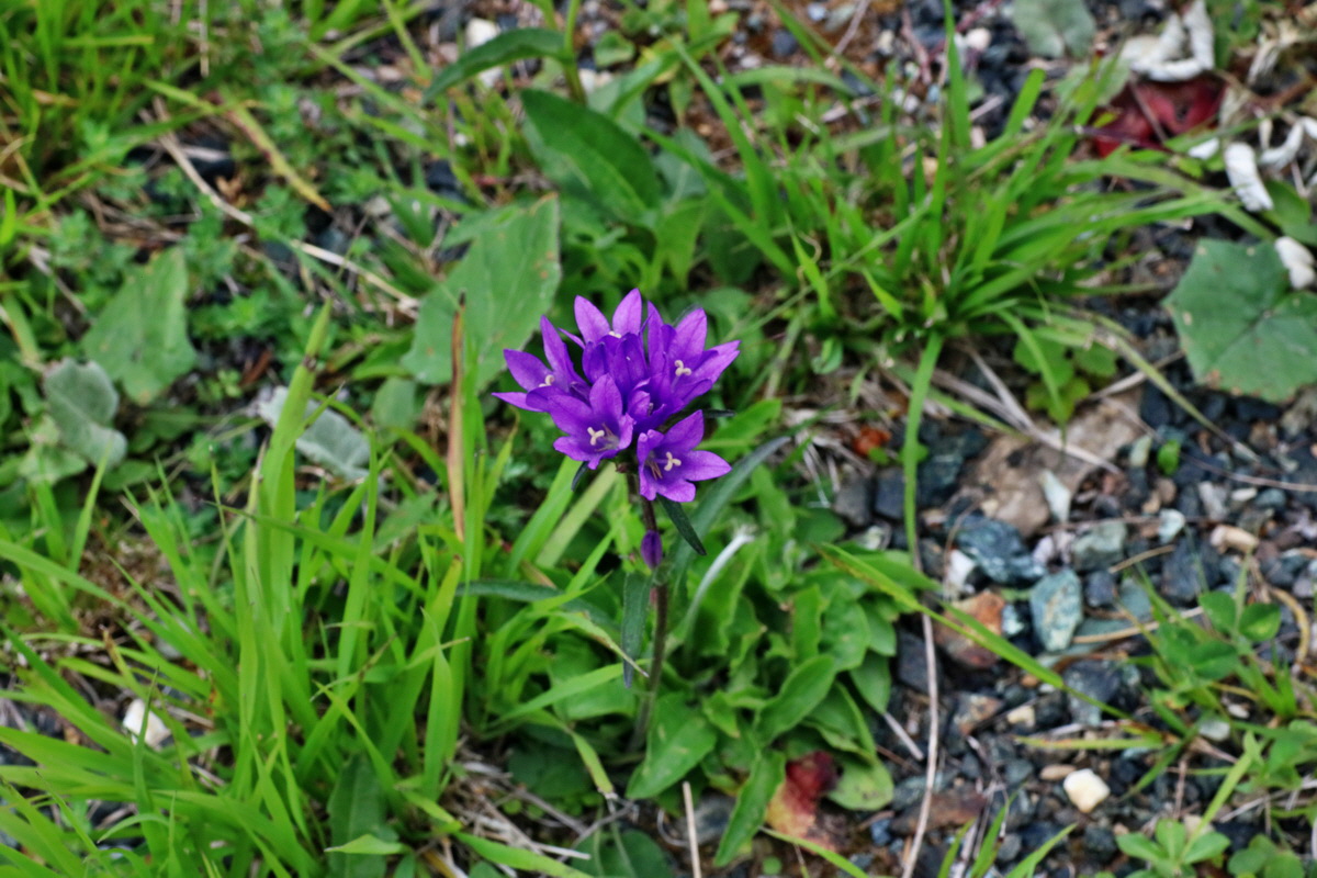 2016_07_09_023891p_Bildgr��e �ndern