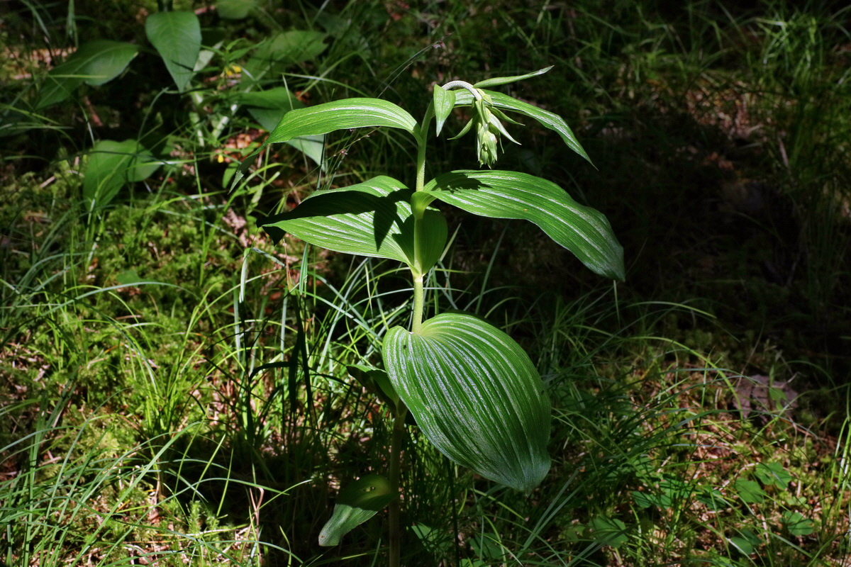 2016_07_10_023893p_Bildgr��e �ndern