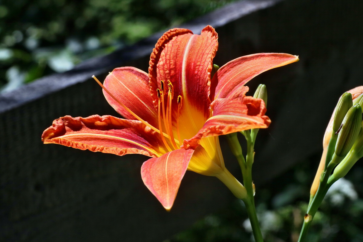 2016_07_10_023897p_Bildgr��e �ndern