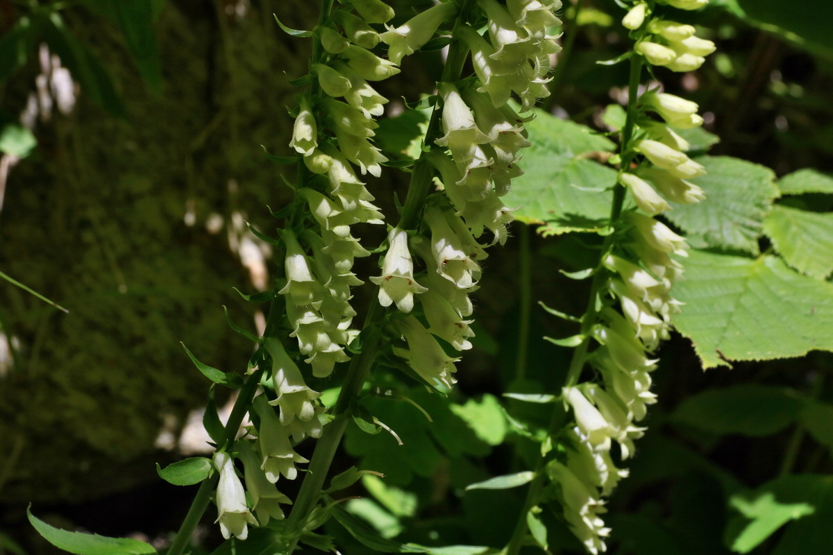 2016_07_10_023905p_Bildgr��e �ndern