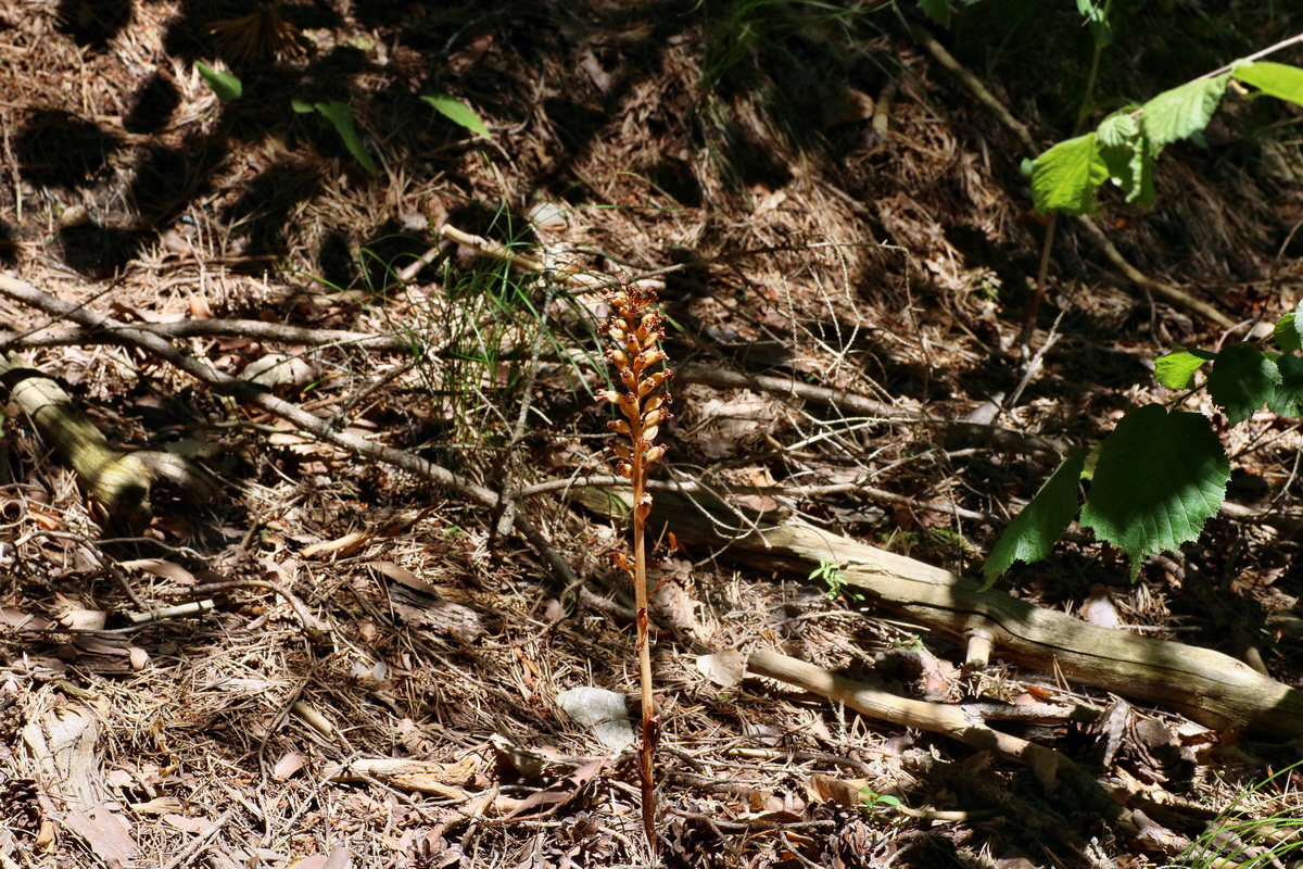 2016_07_10_023934p_Bildgr��e �ndern