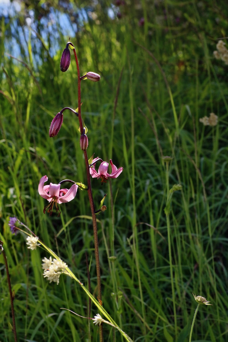 2016_07_10_023944p_Bildgr��e �ndern