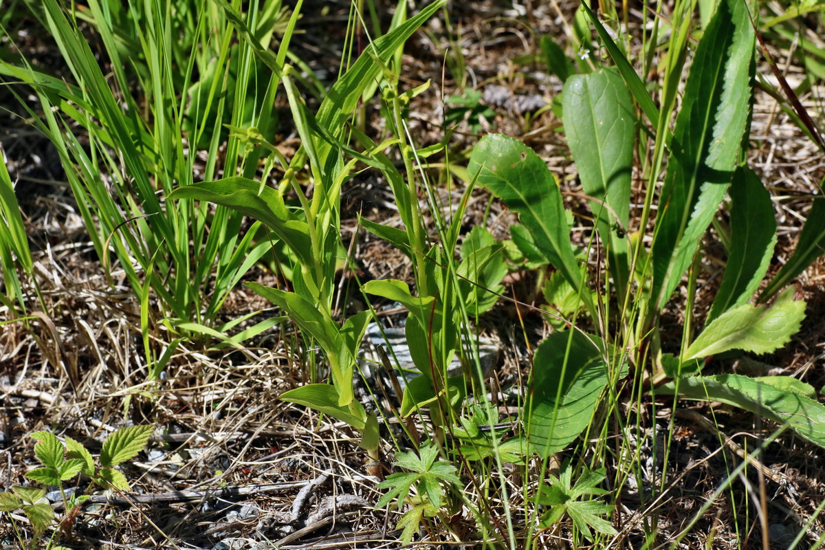 2016_07_10_023952p_Bildgr��e �ndern