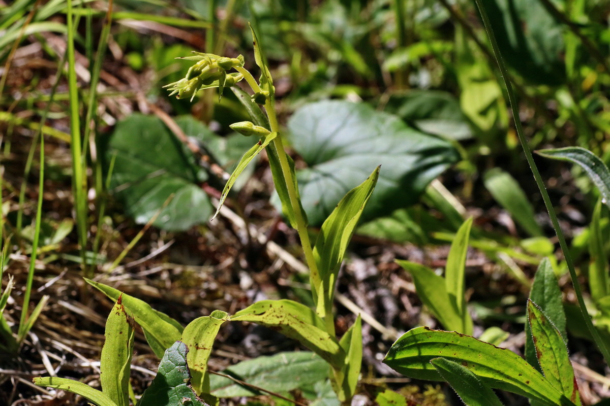 2016_07_10_023957p_Bildgr��e �ndern