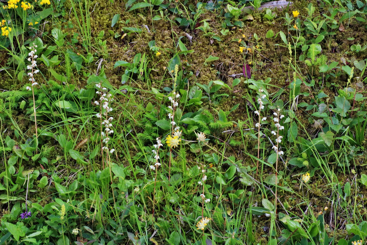 2016_07_10_023964p_Bildgr��e �ndern