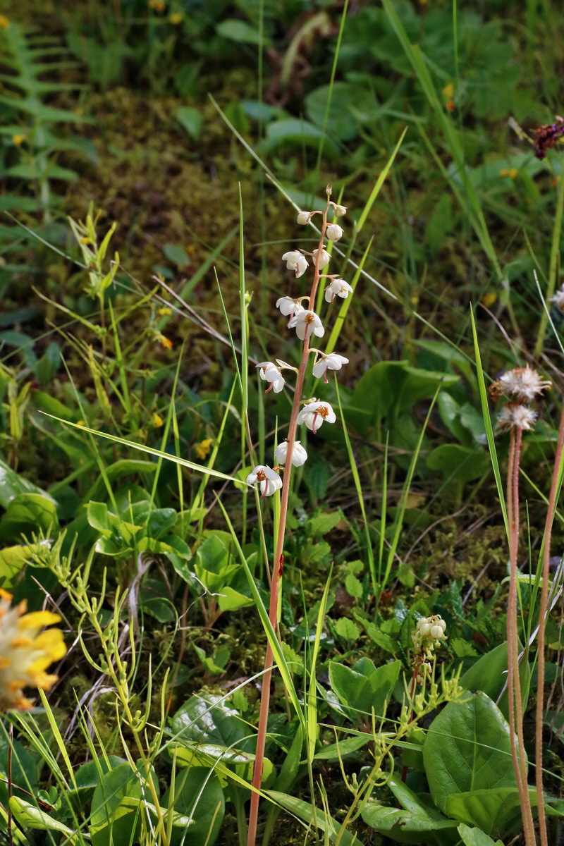 2016_07_10_023968p_Bildgr��e �ndern