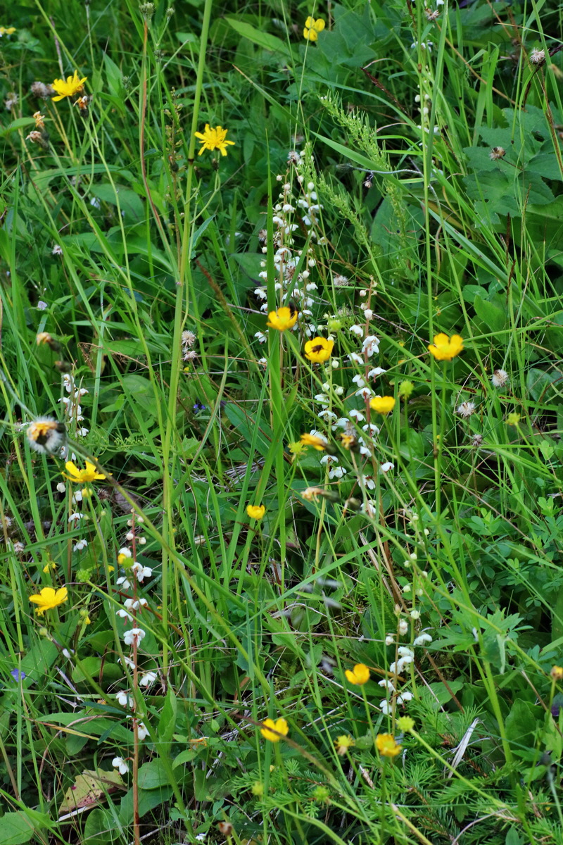 2016_07_10_023971p_Bildgr��e �ndern