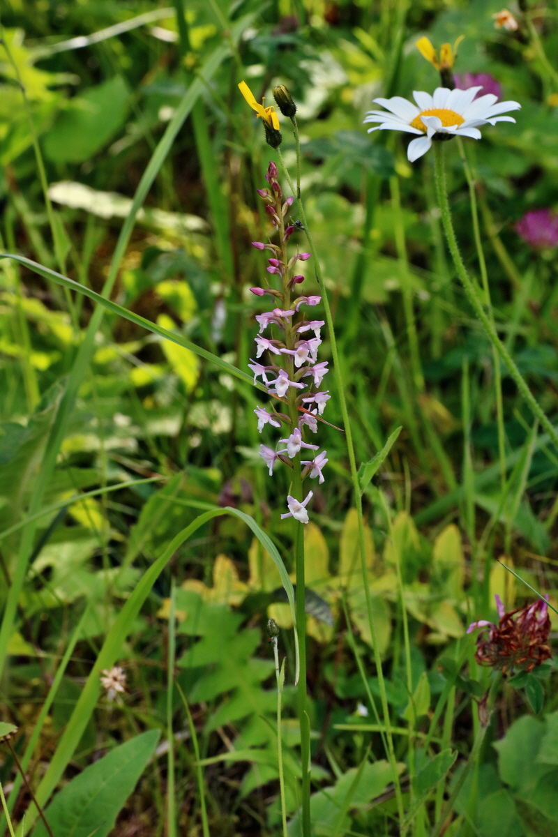 2016_07_10_023978p_Bildgr��e �ndern