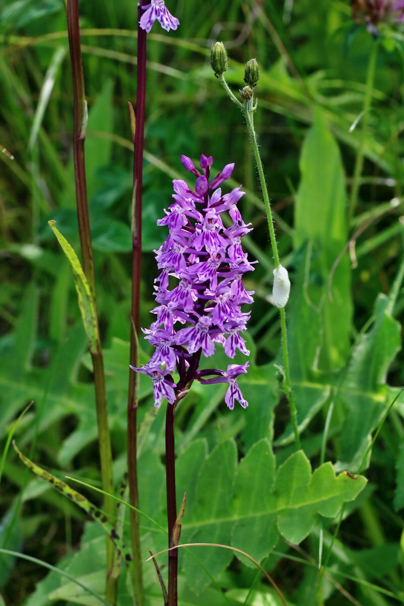 2016_07_10_023981p_Bildgr��e �ndern