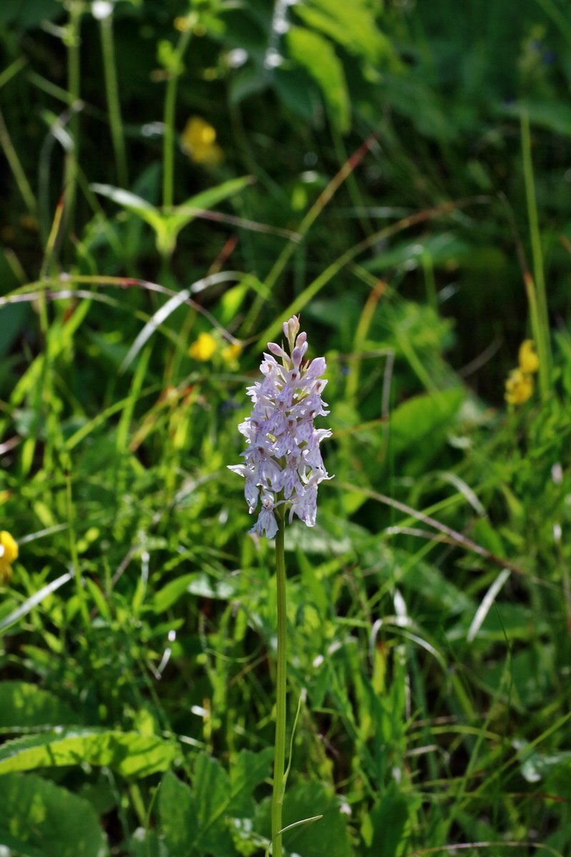 2016_07_10_023988p_Bildgr��e �ndern