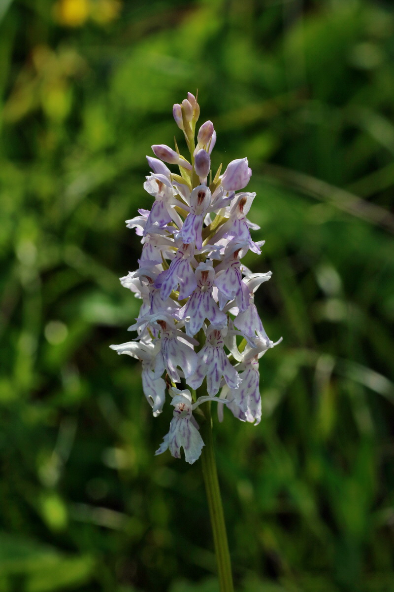 2016_07_10_023990p_Bildgr��e �ndern