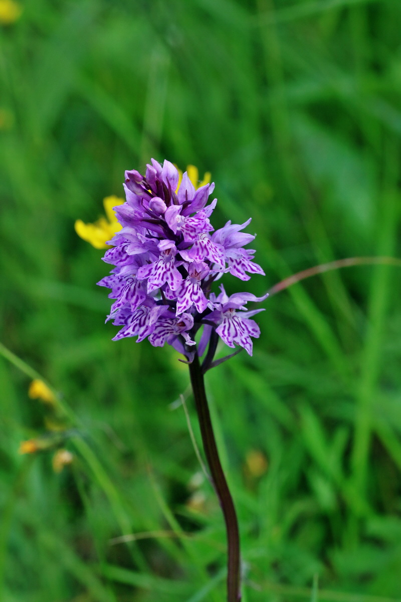 2016_07_10_023996p_Bildgr��e �ndern