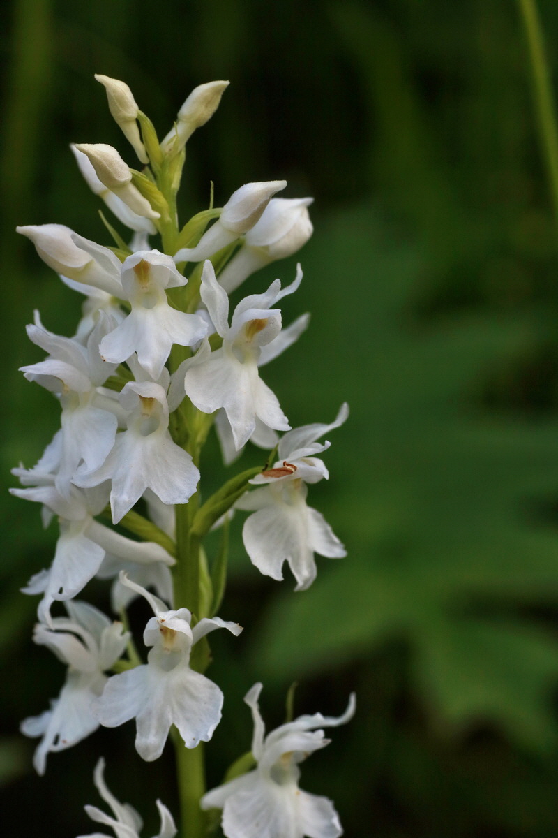 2016_07_10_024006p_Bildgr��e �ndern