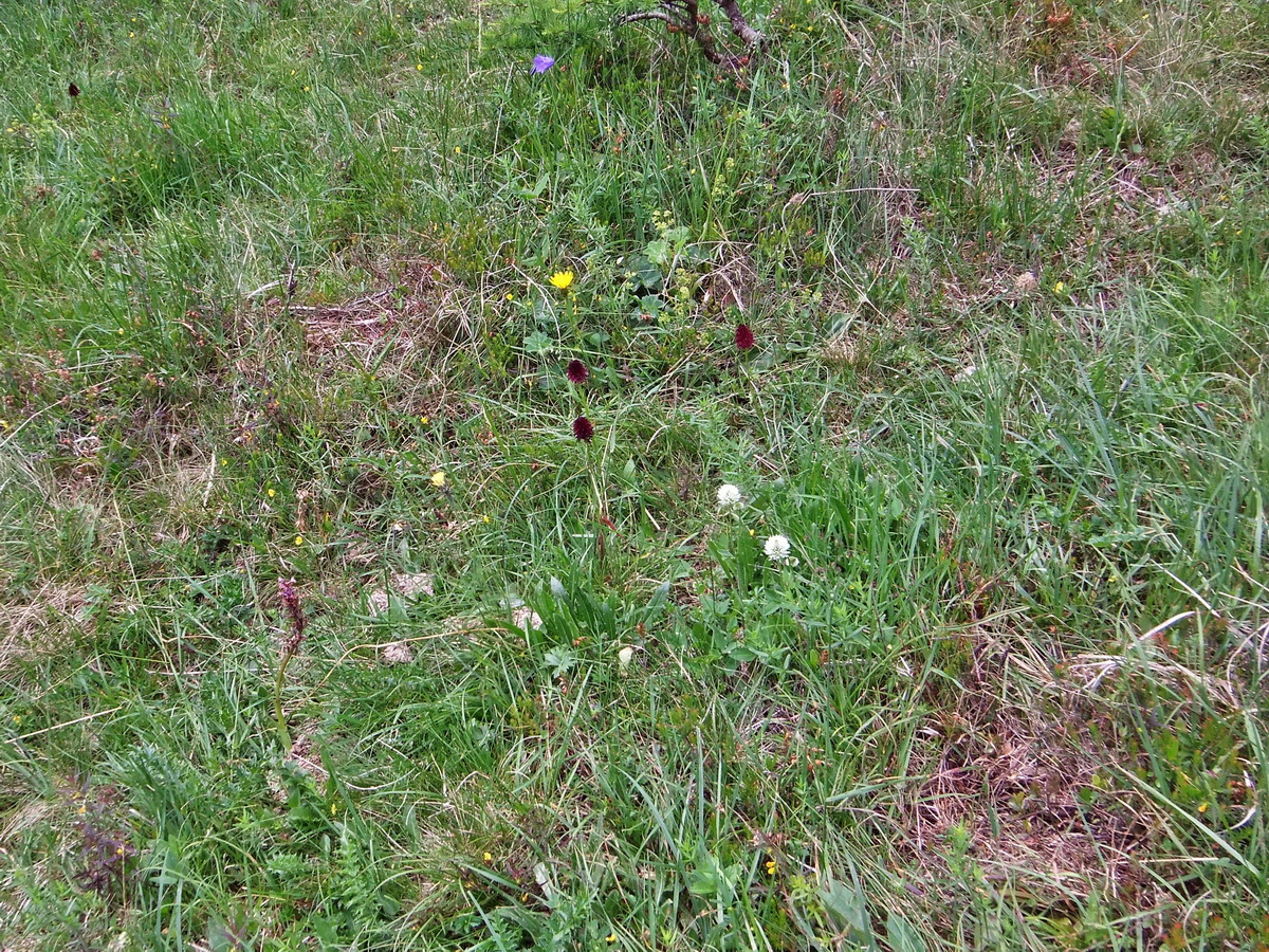 DSCF0078p_Bildgr��e �ndern