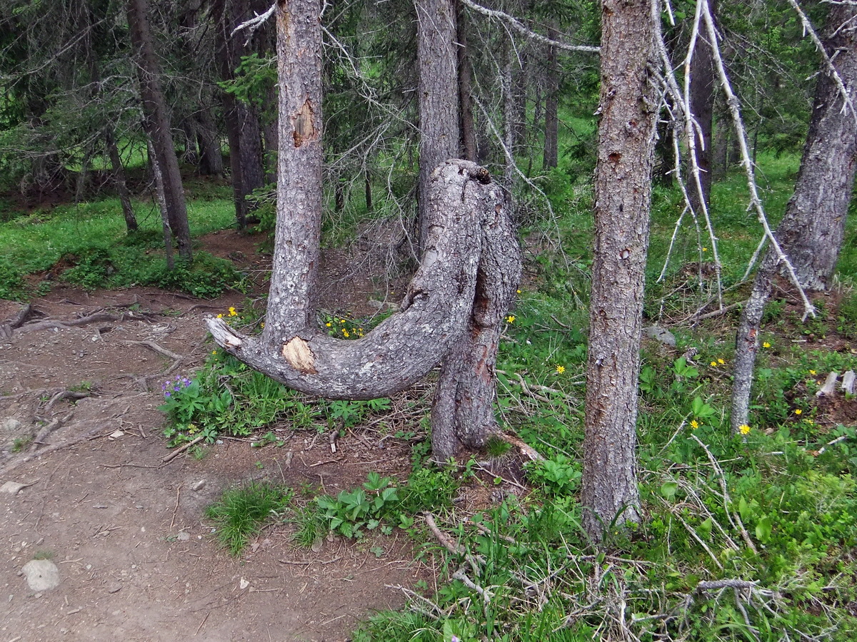 DSCF0080p_Bildgr��e �ndern