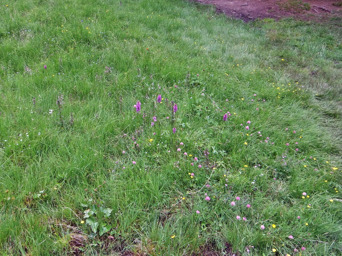 DSCF0083p_Bildgr��e �ndern