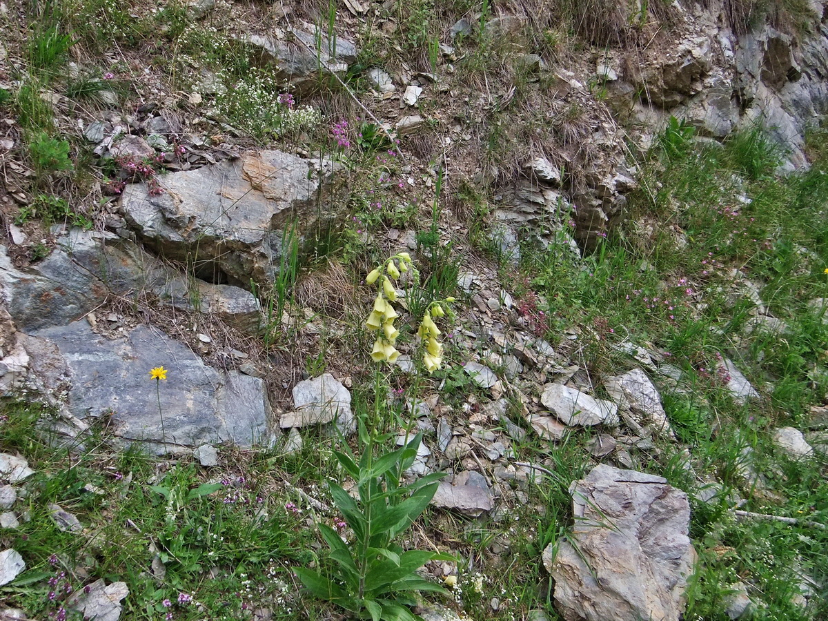 DSCF0089p_Bildgr��e �ndern