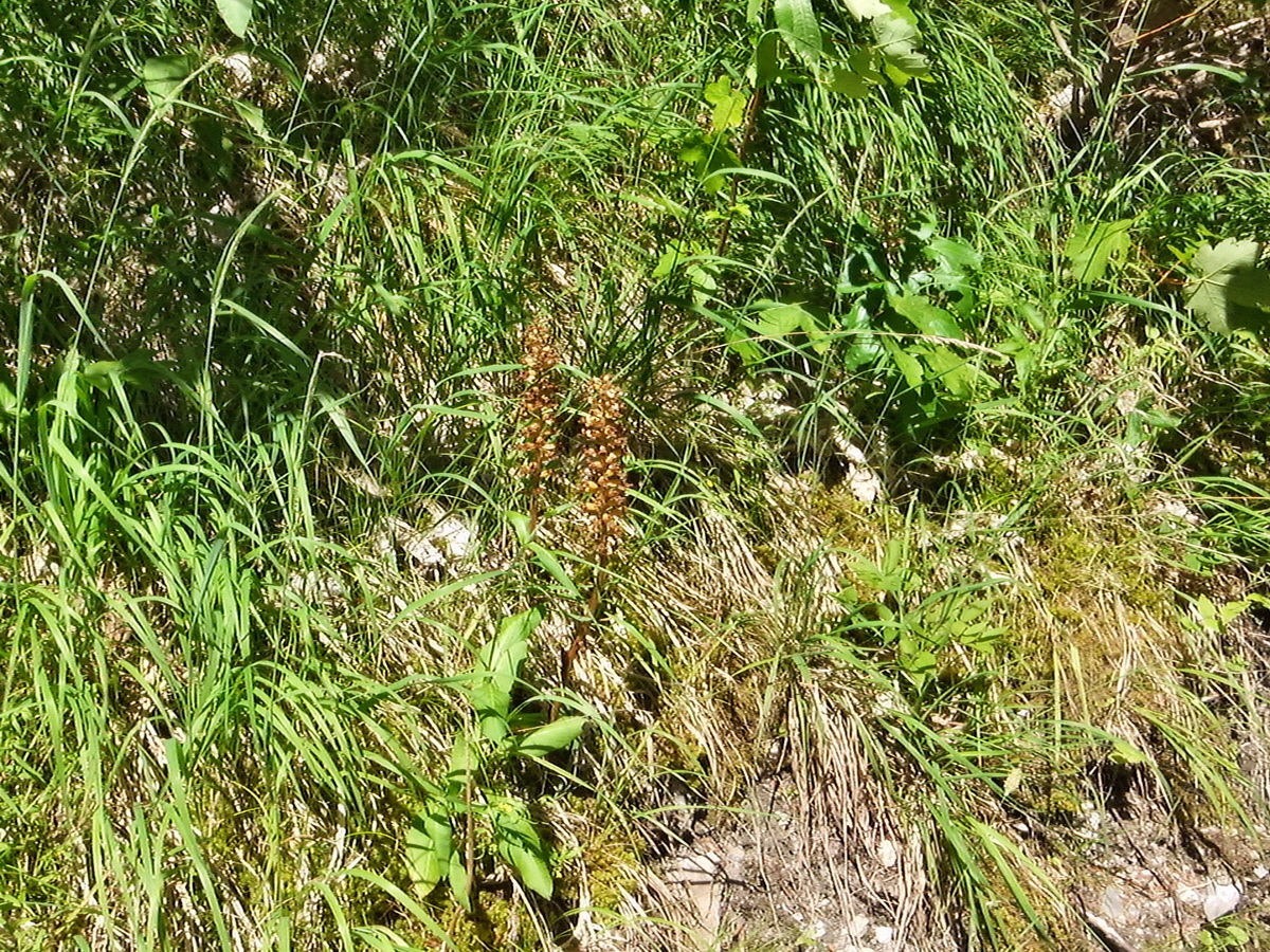 DSCF0118p_Bildgr��e �ndern