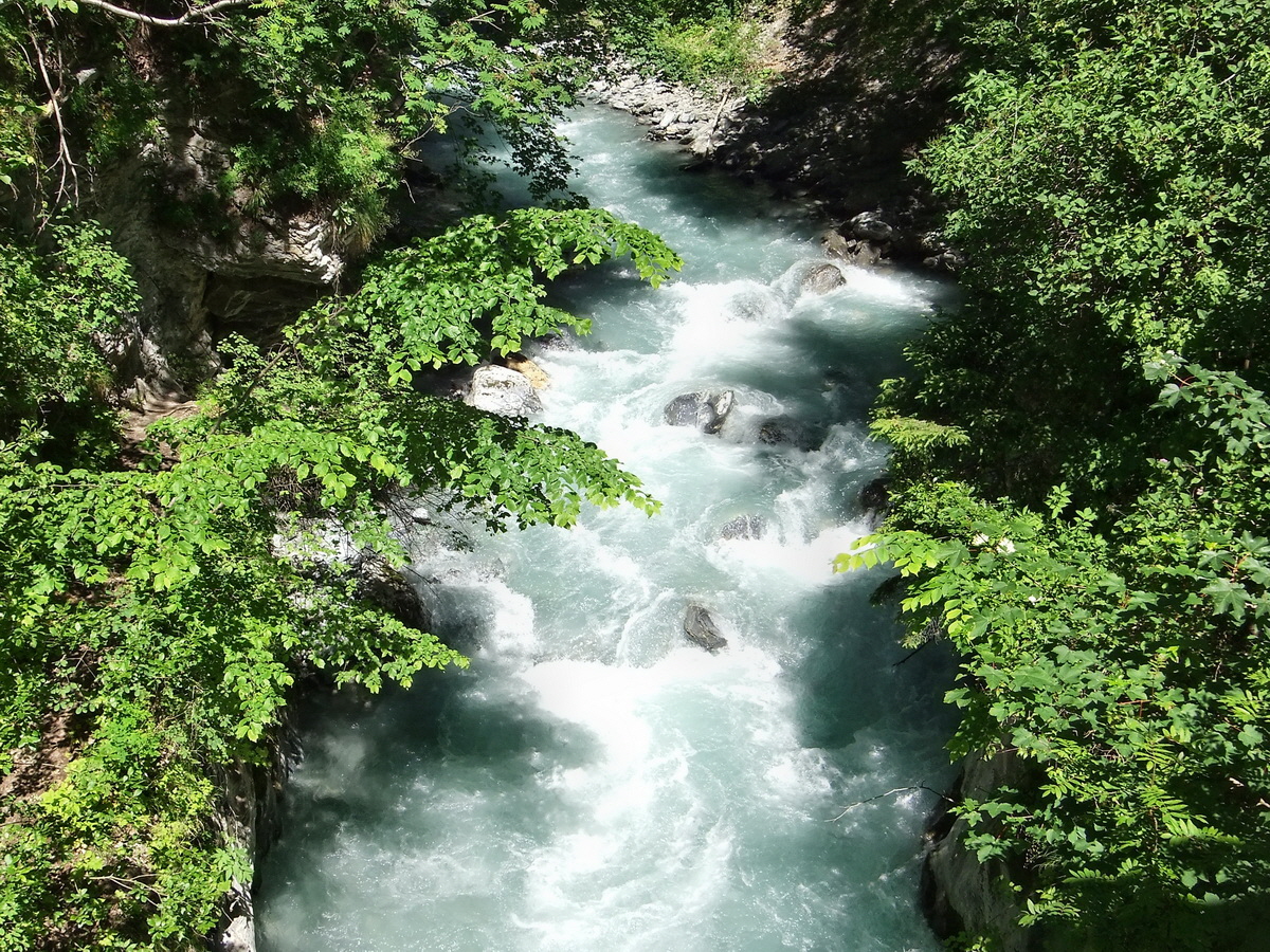 DSCF0122p_Bildgr��e �ndern