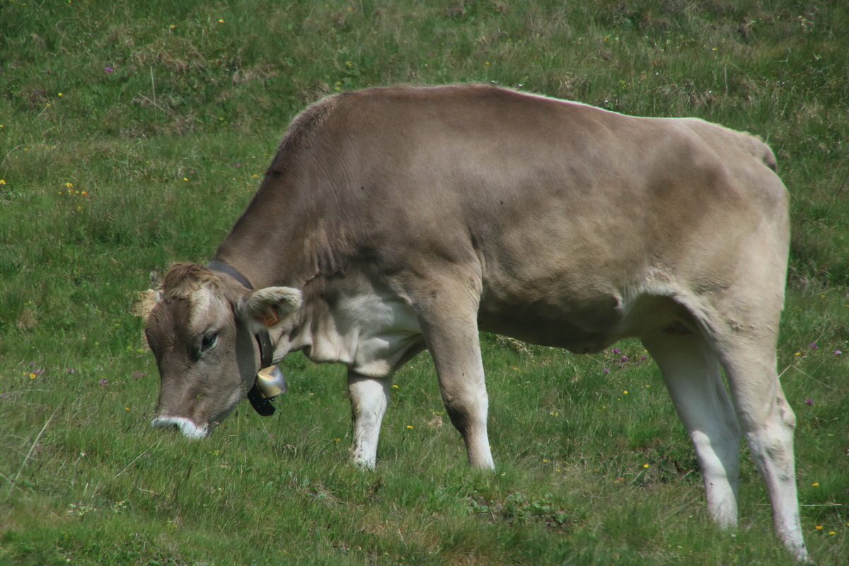 2016_07_11_024069_Bildgr��e �ndern