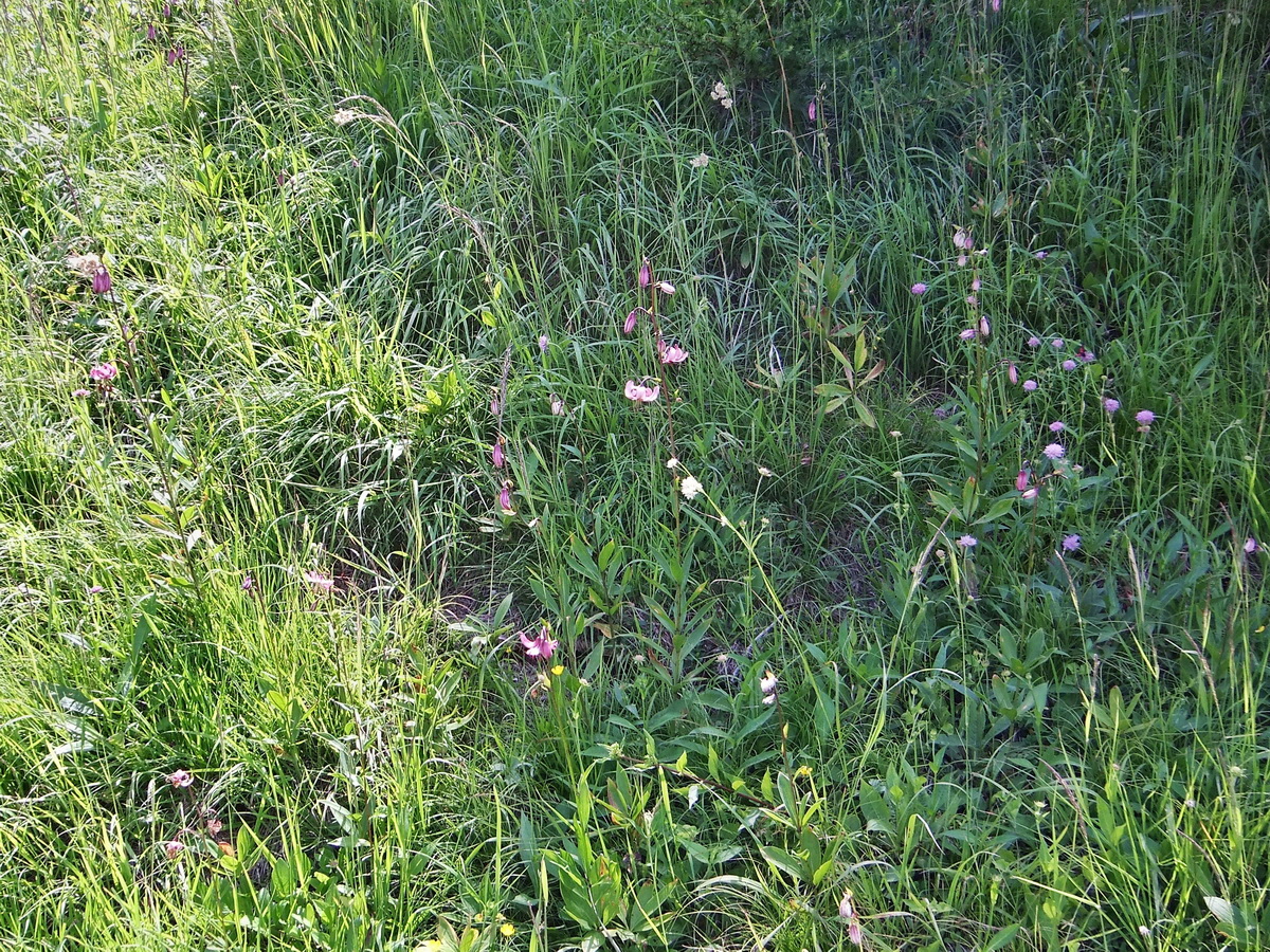 DSCF0123p_Bildgr��e �ndern