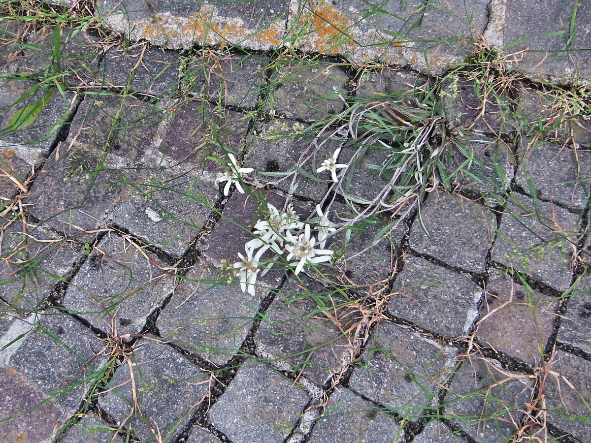 DSCF0132p_Bildgr��e �ndern