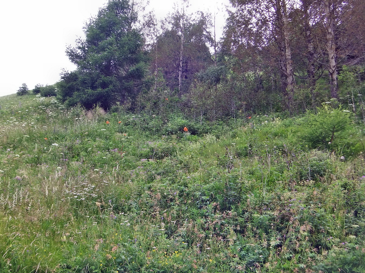 DSCF0139p_Bildgr��e �ndern