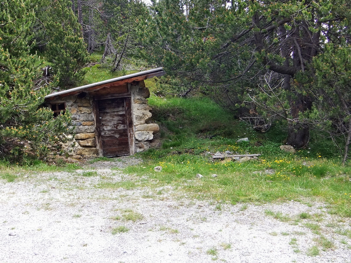 DSCF0157p_Bildgr��e �ndern