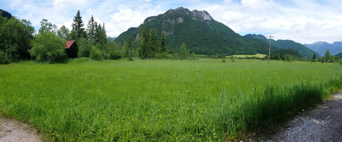 20160627_144804_Bildgr��e �ndern