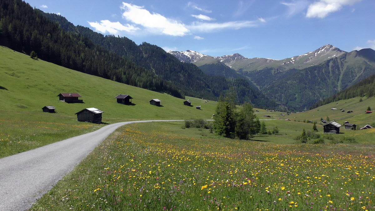 06-28-2016_122646(1)p_Bildgr��e �ndern