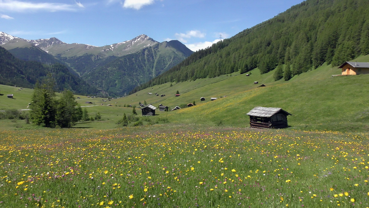 06-28-2016_122646p_Bildgr��e �ndern