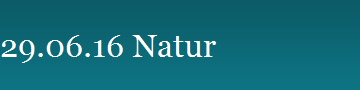 29.06.16 Natur