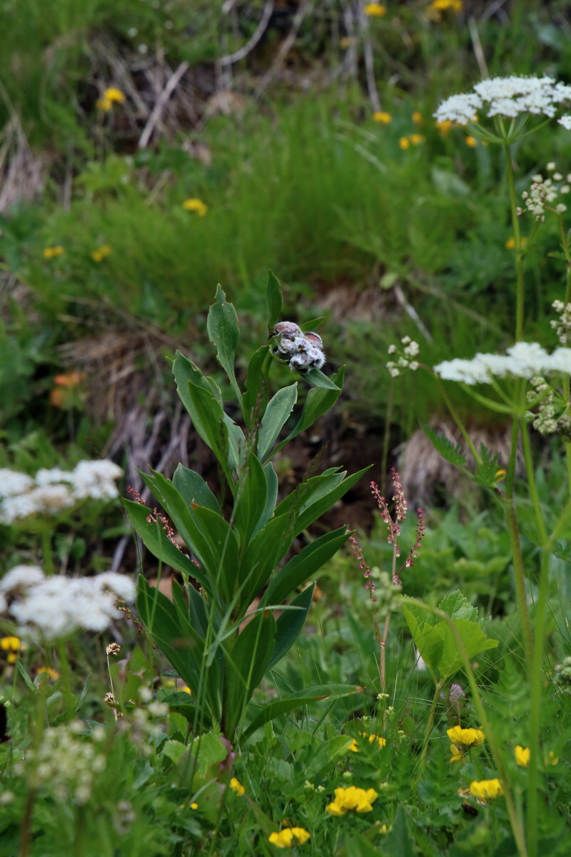 2016_06_29_020417p_Bildgr��e �ndern