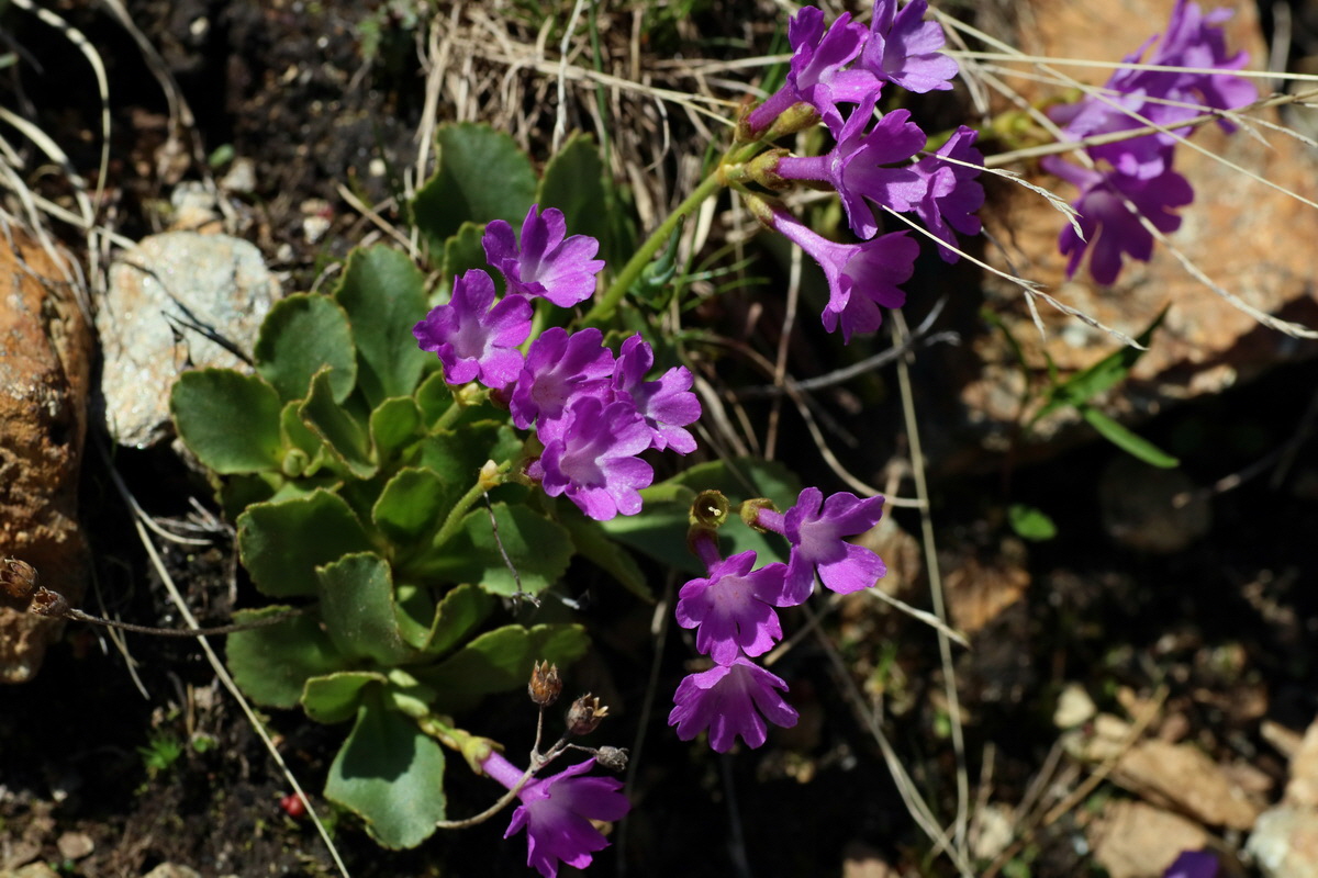 2016_06_29_020420p_Bildgr��e �ndern