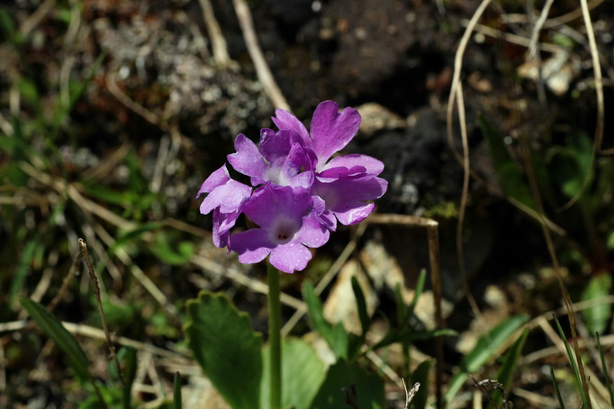 2016_06_29_020422p_Bildgr��e �ndern