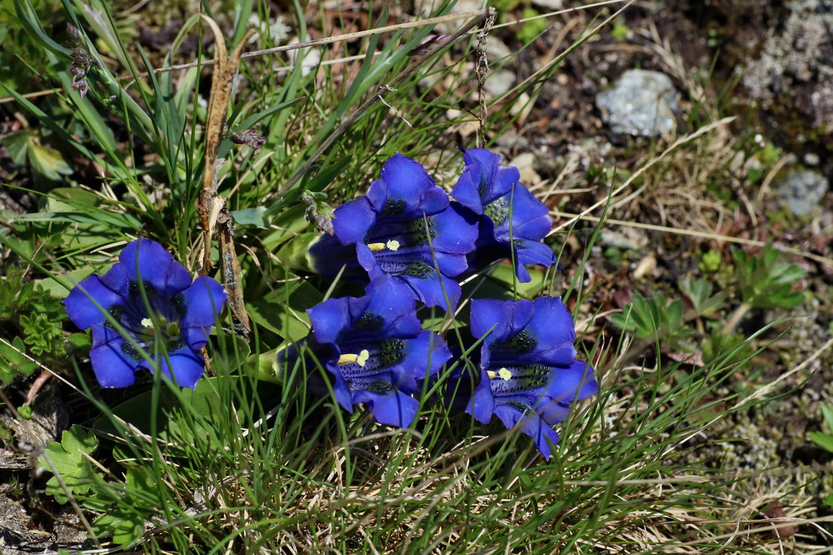 2016_06_29_020425p_Bildgr��e �ndern