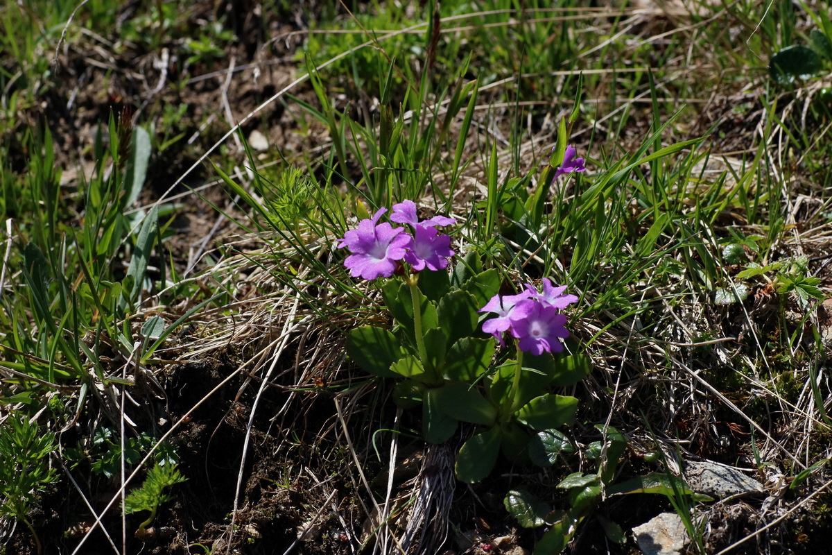 2016_06_29_020433p_Bildgr��e �ndern