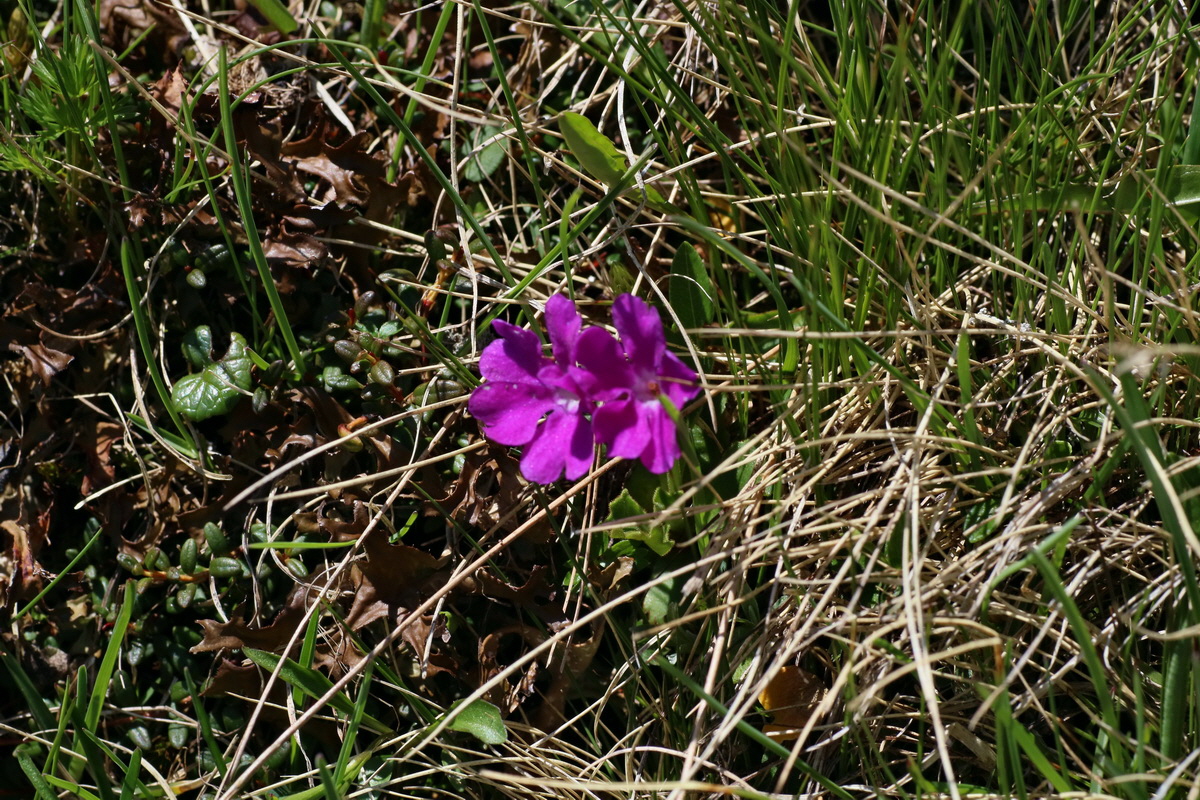 2016_06_29_020436p_Bildgr��e �ndern