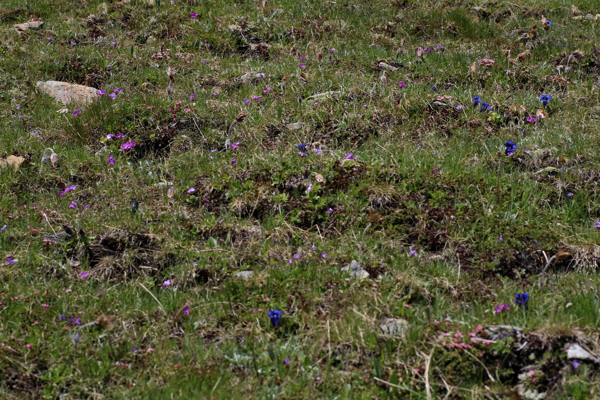 2016_06_29_020441p_Bildgr��e �ndern