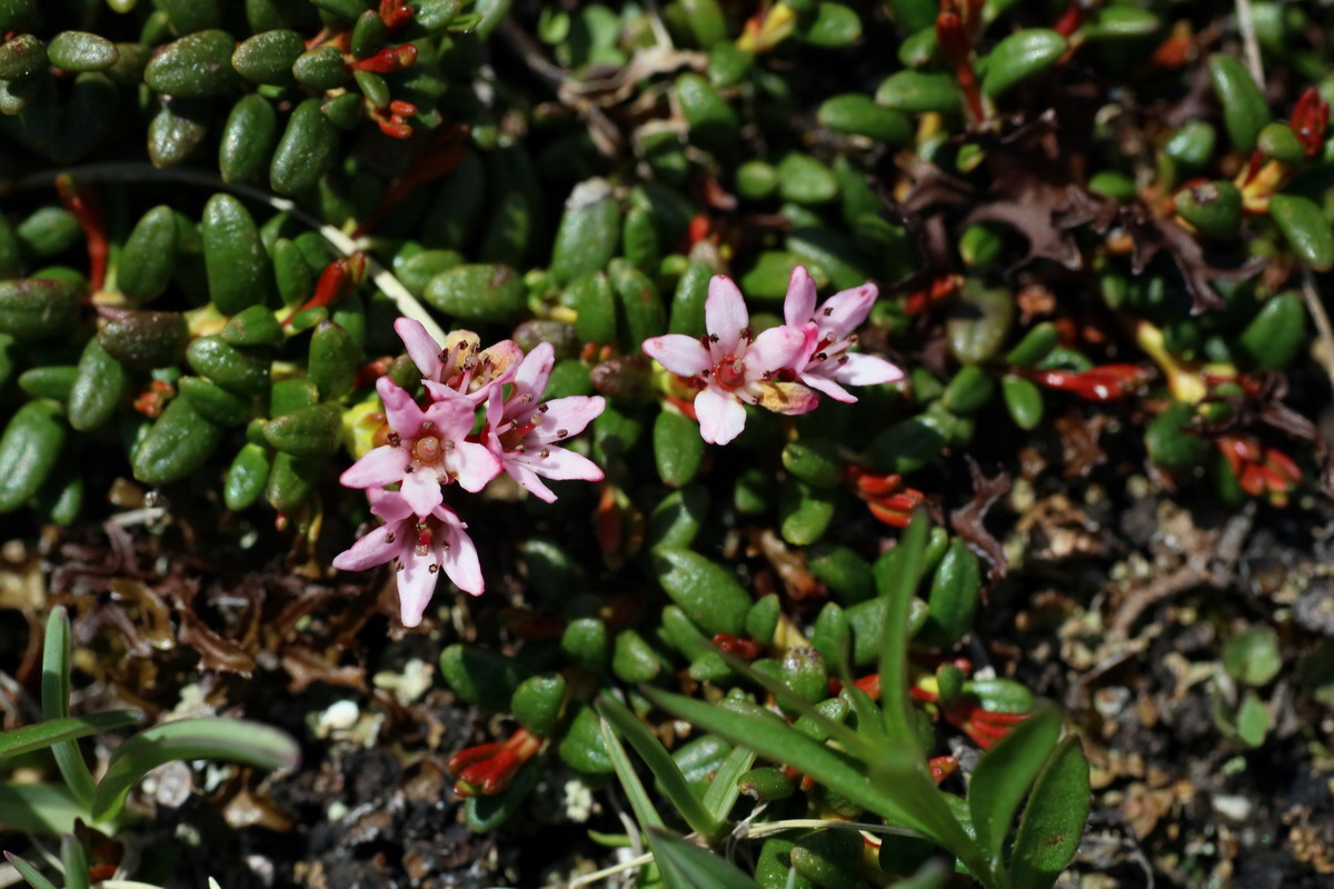 2016_06_29_020450p_Bildgr��e �ndern